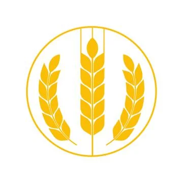Agriculture wheat Logo Template vector icon design. Vector. Stock Illustration