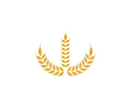 Agriculture wheat Logo Template vector icon Stock Illustration