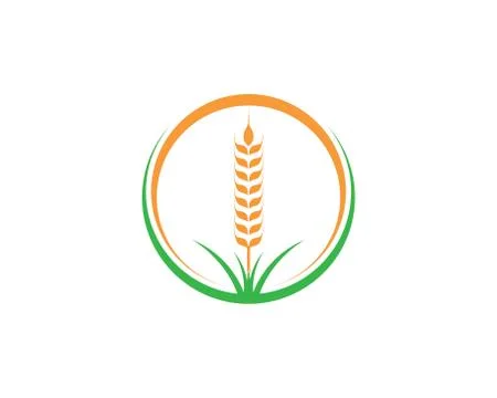 Agriculture wheat Logo Template vector icon Stock-Illustration