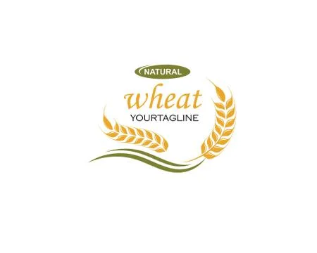 Agriculture wheat Logo Template vector icon Stock-Illustration
