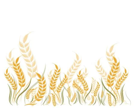 Agriculture wheat Logo Template vector icon Stock Illustration