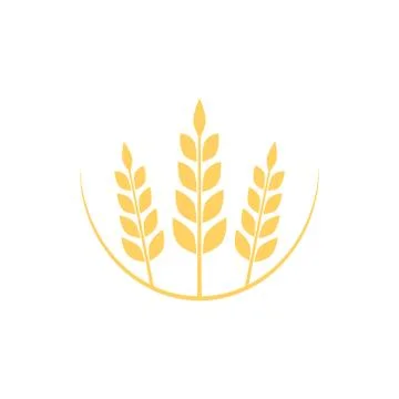 Agriculture wheat logo vector Stock Illustration