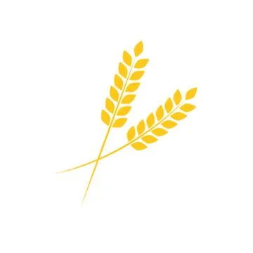 Agriculture wheat logo vector 스톡 일러스트