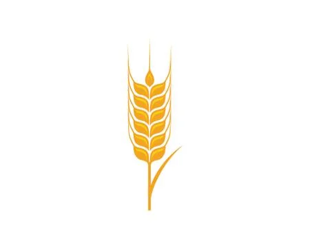 Agriculture wheat Template vector icon design イラスト素材
