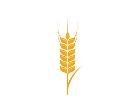 Agriculture wheat Template vector icon design Stockillustratie