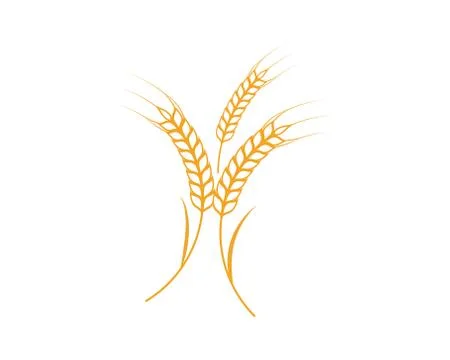 Agriculture wheat Template vector icon design Stockillustratie