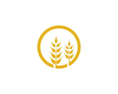 Agriculture wheat vector Illustrazione stock