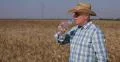 Agriculture Worker Sweating Sweating Dehydrated Drink Water Hot Day Wheat Crop 4k or 4k+ Resolution