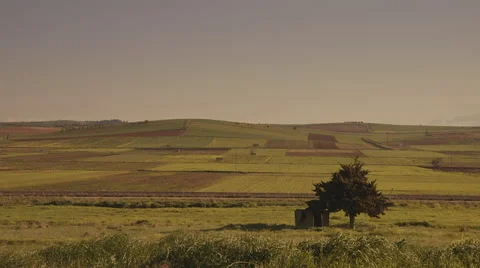 Agriculture,Summer fields on the horizon Stock Footage 48966839