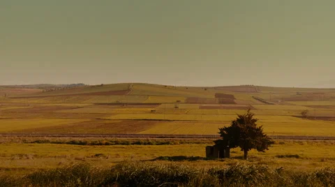 Agriculture,Summer fields on the horizon Stock Footage 48988438