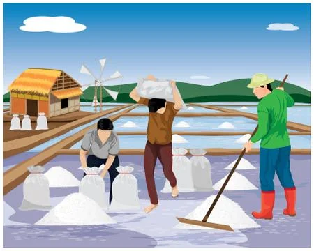 Agriculturist work in saline field vector design Stock Illustration