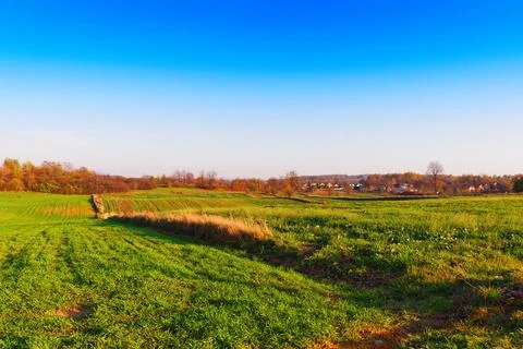 Agricutlure fields Stock Photos