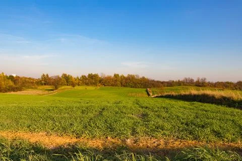 Agricutlure fields Stock Photos