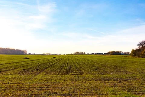 Agricutlure fields Stock Photos