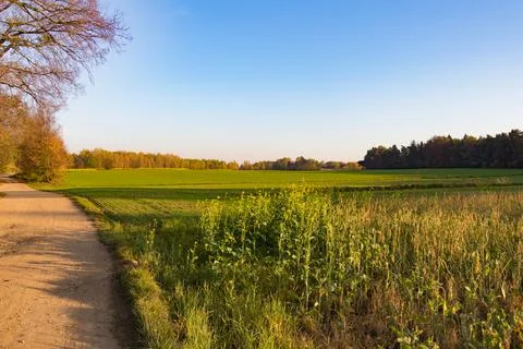 Agricutlure fields Stock Photos