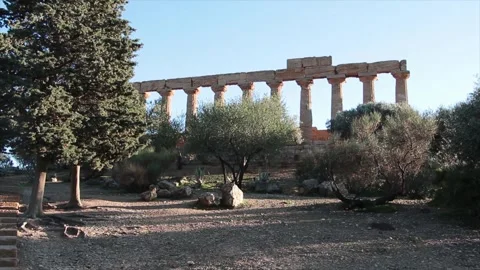Agrigento sicily italy ancient temple of juno pillars with trees in foreground Stock Footage 252154347