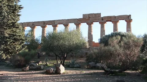 Agrigento sicily italy ancient temple of juno pillars with trees in foreground Stock Footage 252154353