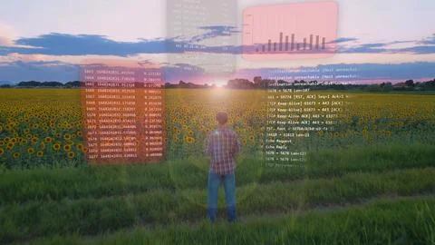 Agritech engineer looking at big data hologram in front of agricultural field Stock Photos