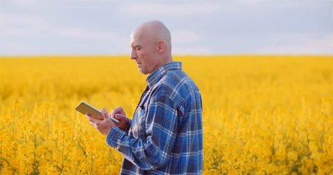 Agriulture - Farmer Using Digital Tablet Computer Against Yellow Rapeseed Field Stock Footage 129676179