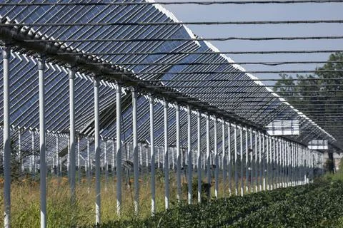 Agrivoltaic Stock Photos