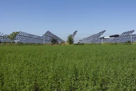 Agrivoltaic Stock Photos