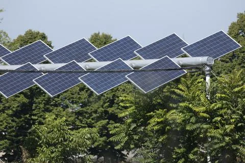 Agrivoltaic Stock Photos