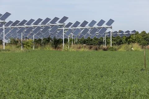 Agrivoltaic Foto stock