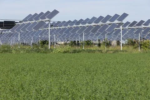 Agrivoltaic Stock Photos