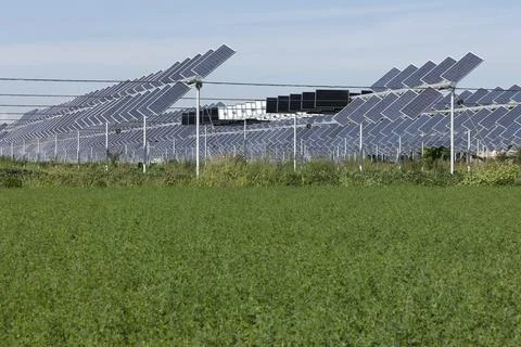 Agrivoltaic Stock Photos