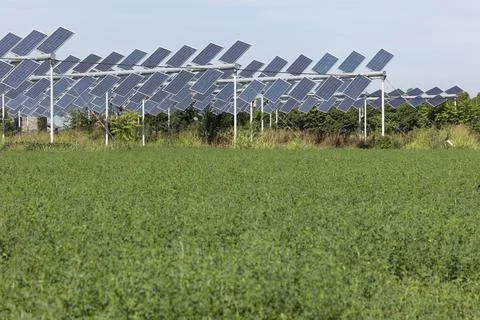 Agrivoltaic Stock-Fotos