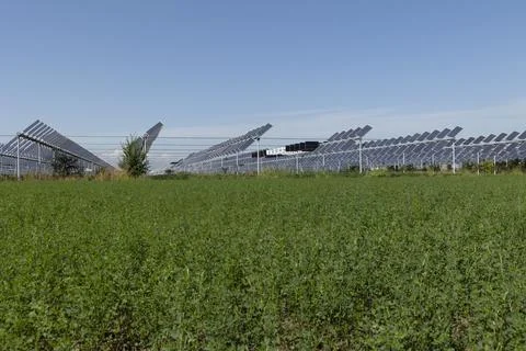 Agrivoltaic Stock Photos