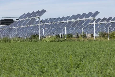 Agrivoltaic Stock Photos