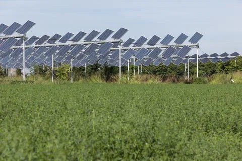 Agrivoltaic Stock Photos