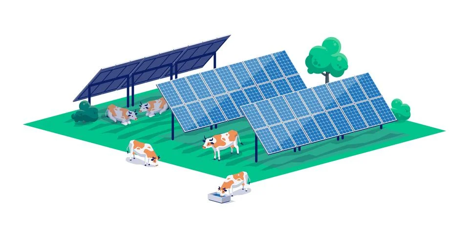 Agrivoltaic solar panel farming system with tracker and livestock animals cow Stock Illustration