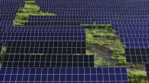 Agrivoltaic Solar Power Station Array Pan Left Sustainable Green Energy Stockbeeldmateriaal 343142695
