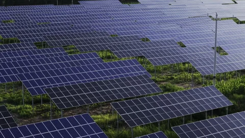 Agrivoltaic Solar Power Station Renewable Energy Stockbeeldmateriaal 343141677