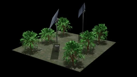 Agrivoltaics Combining solar tech with agriculture. 3d animation render. Stock Footage 266181522