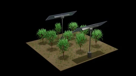 Agrivoltaics combining solar tech with agriculture. 3d animation render. Stock-Footage 266181524