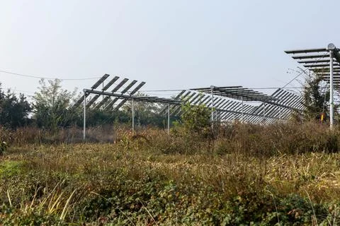 Agrivoltaics Foto stock