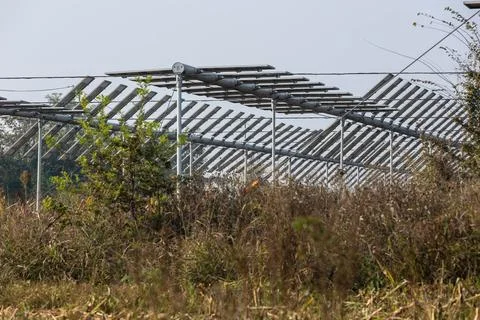 Agrivoltaics Stock Photos