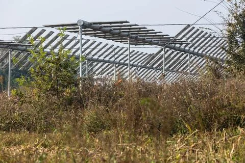 Agrivoltaics Stock Photos