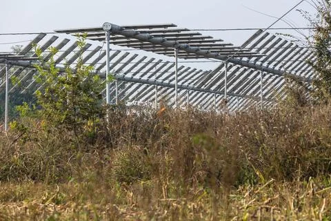 Agrivoltaics Stock Photos