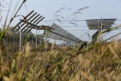 Agrivoltaics Foto stock