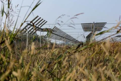 Agrivoltaics Stock Photos