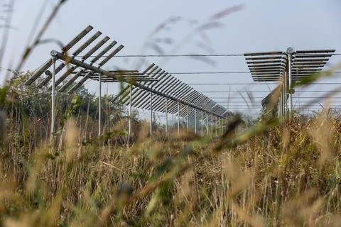 Agrivoltaics Stock Photos