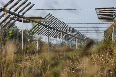 Agrivoltaics Stock Photos