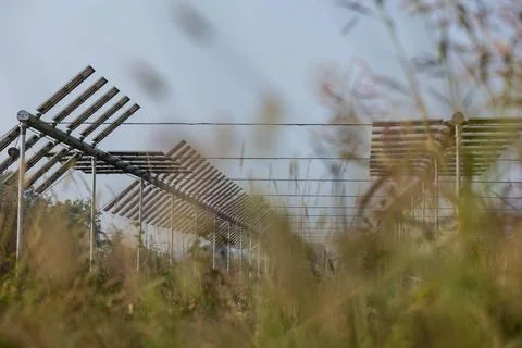 Agrivoltaics Stock Photos