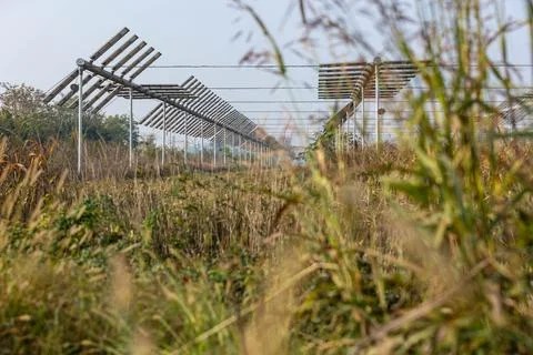 Agrivoltaics Stock Photos