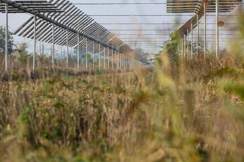 Agrivoltaics Foto stock