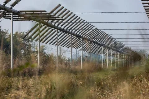 Agrivoltaics Stock Photos